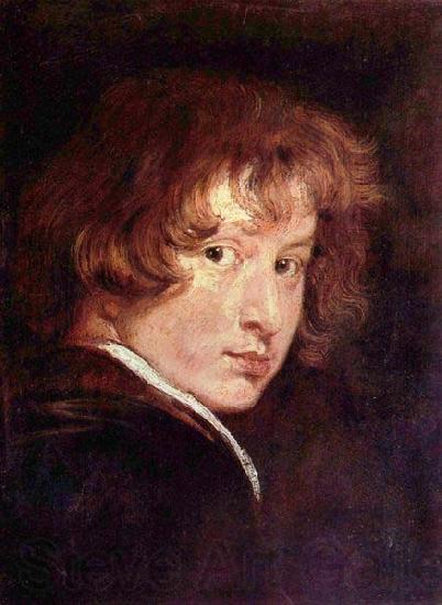 Anthony Van Dyck Self portrait, France oil painting art